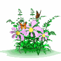 serduszka - butterflies_flowers_lg_wht.gif