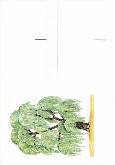 Pospolite drzewa występujące w Polsce - układanka tematyczna - wierzba płacząca.jpg