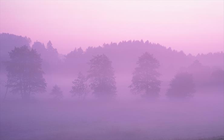 Nowe Tap Mac vladkoc - Pink Forest.jpg