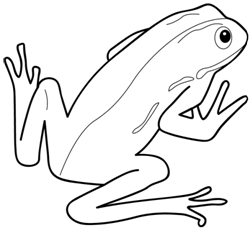 kolorowanki - żaba 1.bmp