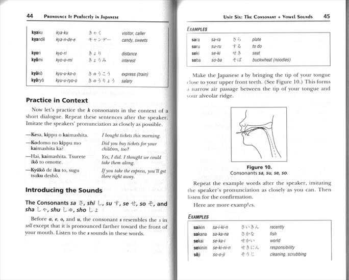 Book - PIP_Japanese_doc11.gif