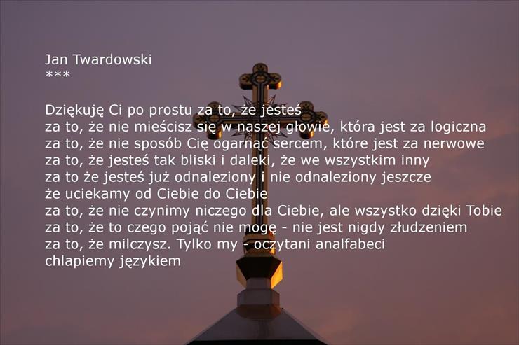 WierszeKs.Twardowski - ks. Jan Twardowski.jpg