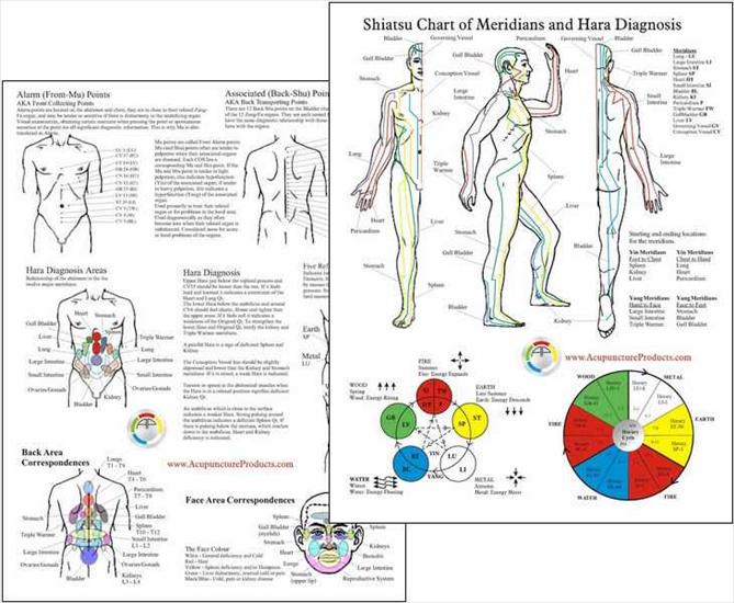 tablice anatomiczne - ShiatsuHaraDiagnosis.jpg