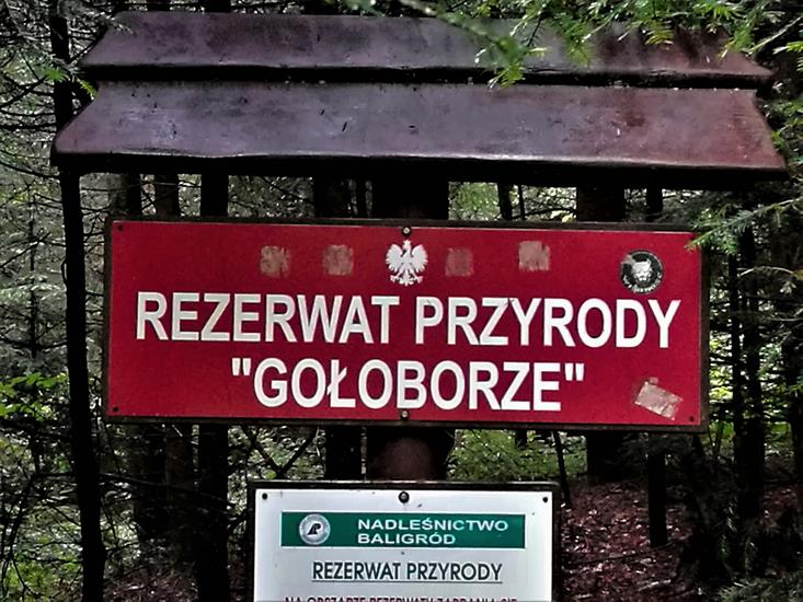  rezerwat Gołoborze - 81.jpg