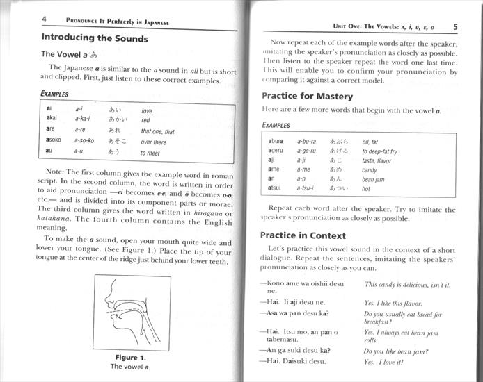 Book - PIP_Japanese_doc01.gif