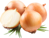 N PNG 9 - onion_PNG605-170x133.png