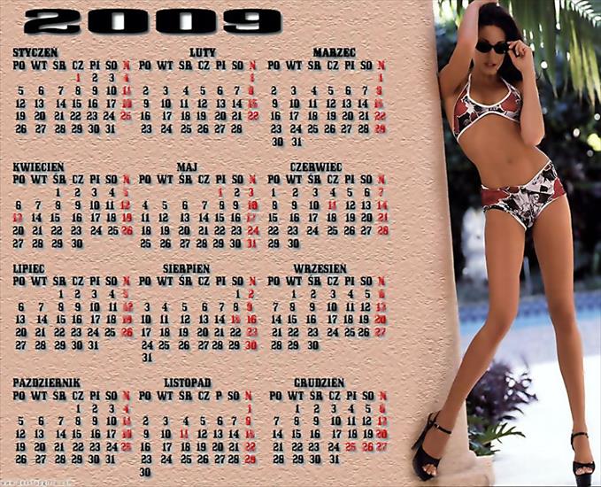 Kalendarze 2009 - Bez nazwy 9 kopia2.jpg