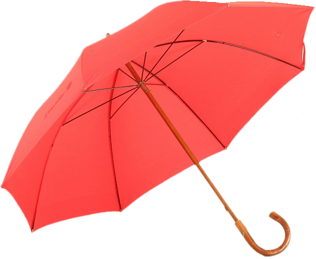 parasolki - parasolka 33.png