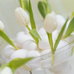  Dekoracje - Białe tulipany powkładaj do wazonu wyłożonego białymi wydmuszkami..jpg