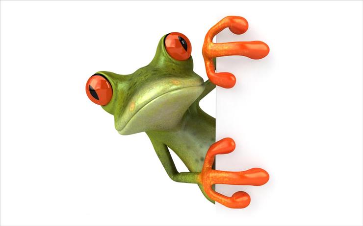 Śmieszna  Żaba - Funny Frog - wallcate.com 13.jpg