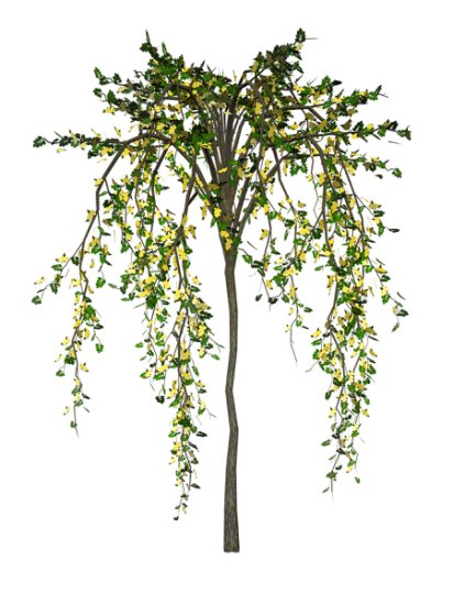 Rośliny1 - Flowering_Tree_Stock_3_by_Shoofly_Stock.jpg