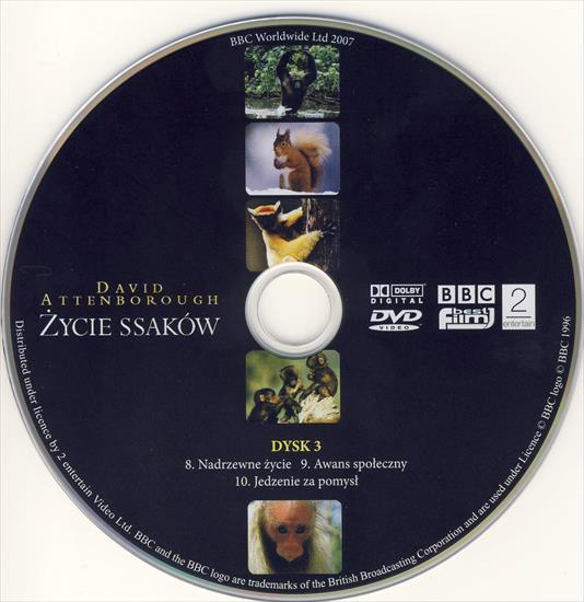 David Attenborough - zycie ssakow DVD3 - zycie_ssakow_dysk3.jpg