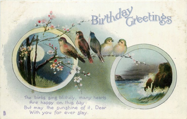 Cards_vintage_Birds_from_Tramplin - 1 66.jpg