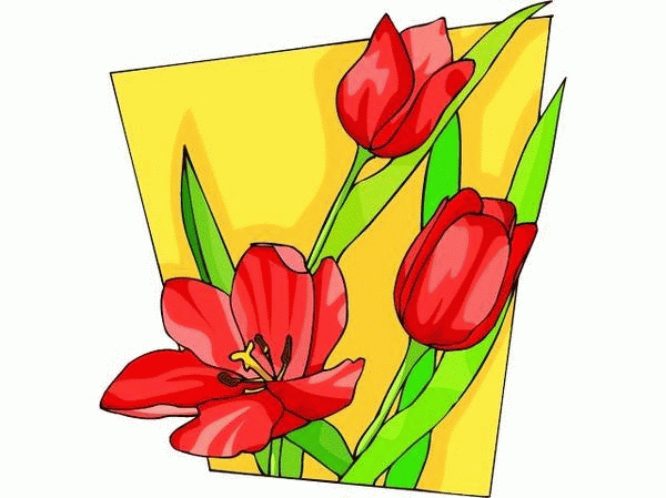 kwiaty - tulipan3.gif