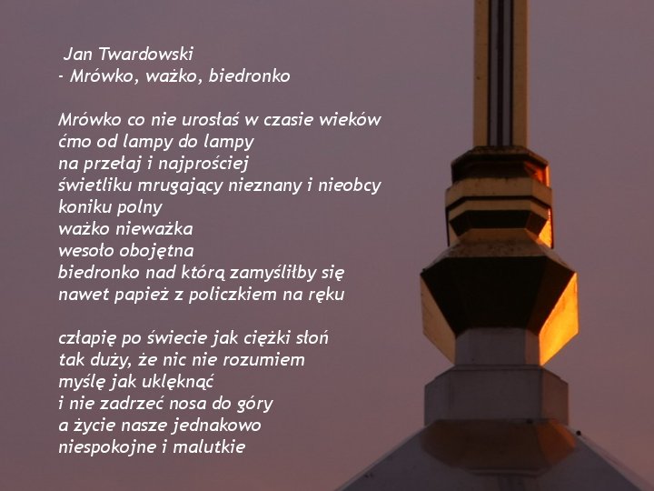 WierszeKs.Twardowski - ks. Jan Twardowski - Mrówko.jpg