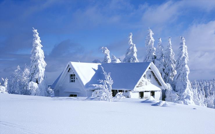 Tapety - Winter Honeymoon Destinations Mac Snowy Wallpaper-647104.jpeg