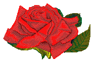 Róża  Lucryssa - N_BLU706.gif