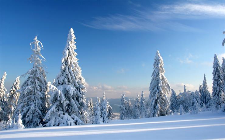 Winter Landscapes HD Wallpapers 6 - 21.jpg